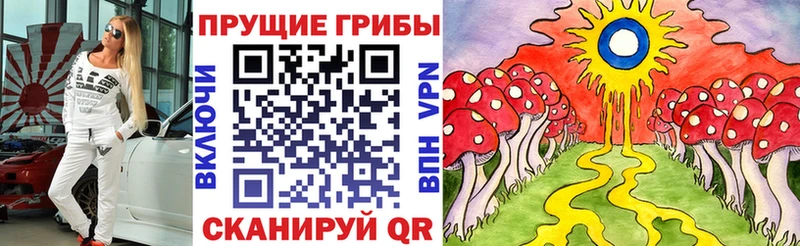 Купить где  Старая Русса  Псилоцибиновые грибы GOLDEN TEACHER 